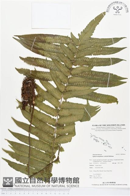 登錄號:BP00063藏品圖，第1張