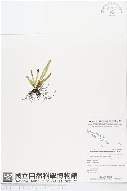 登錄號:BP01063藏品圖，第1張