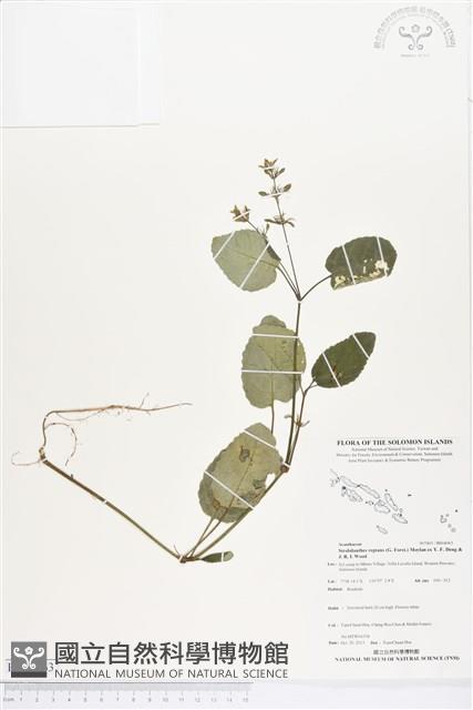 登錄號:BS04063藏品圖，第1張