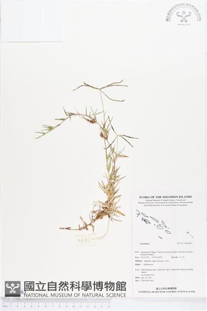 登錄號:BS02663藏品圖，第1張