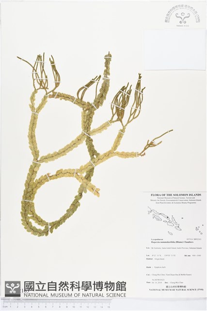 登錄號:BP02163藏品圖，第1張