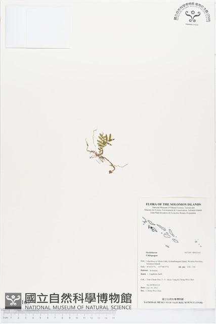 登錄號:BS02163藏品圖，第1張