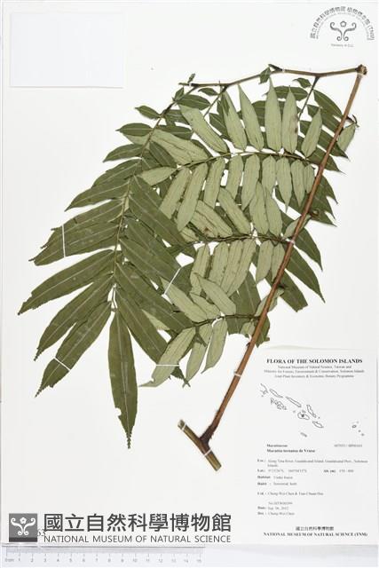 登錄號:BP00163藏品圖，第1張