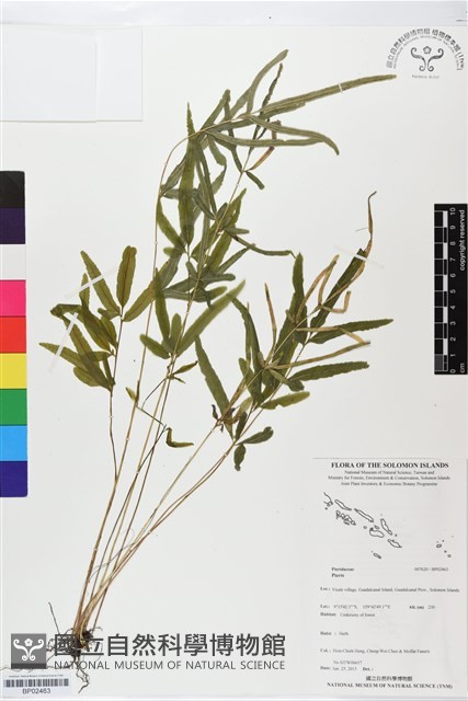 登錄號:BP02463藏品圖，第1張