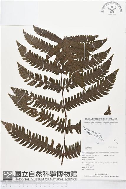 登錄號:BP00463藏品圖，第1張