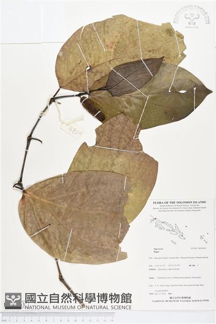 登錄號:BS04463藏品圖，第1張