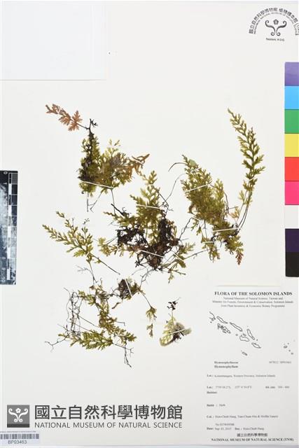 登錄號:BP03463藏品圖，第1張