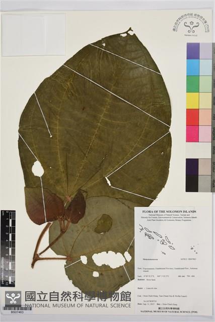 登錄號:BS07463藏品圖，第1張