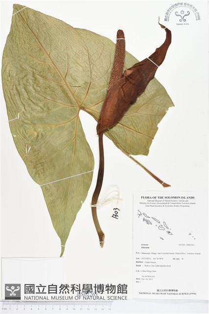 登錄號:BS02263藏品圖，第1張