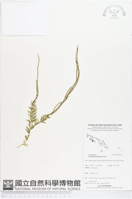 登錄號:BP01263藏品圖，第1張