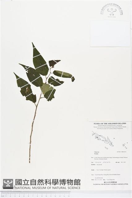 登錄號:BS04263藏品圖，第1張