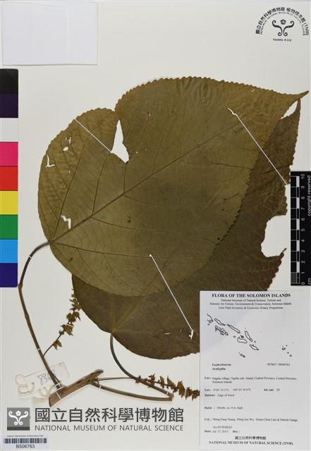 登錄號:BS06763藏品圖，第1張