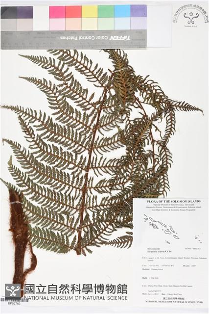 登錄號:BP02763藏品圖，第1張