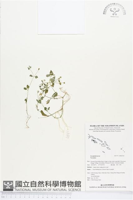 登錄號:BS02763藏品圖，第1張