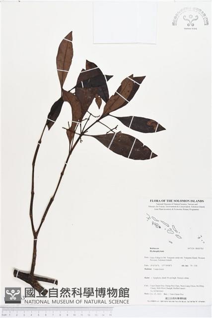 登錄號:BS03763藏品圖，第1張