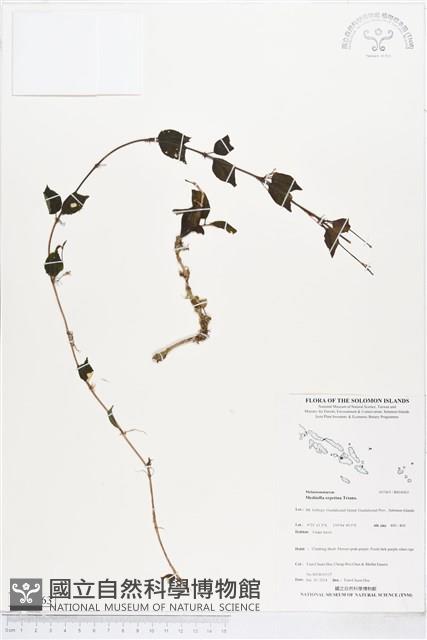 登錄號:BS04563藏品圖，第1張