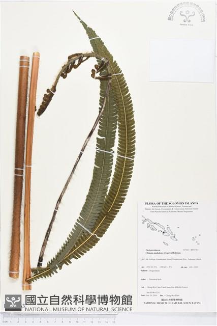 登錄號:BP01963藏品圖，第1張