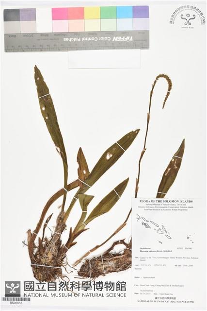 登錄號:BS05963藏品圖，第1張