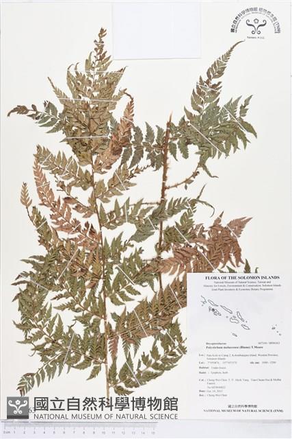 登錄號:BP00363藏品圖，第1張