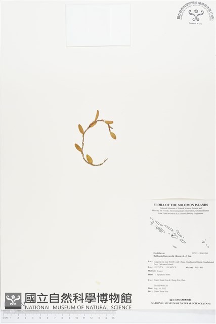 登錄號:BS01363藏品圖，第1張