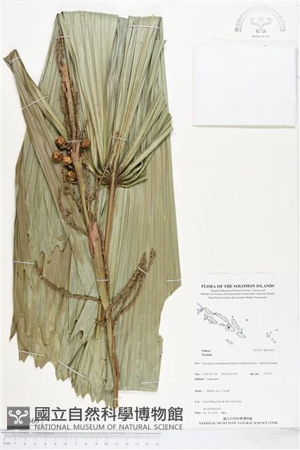 登錄號:BS05363藏品圖，第1張