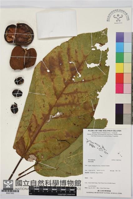 登錄號:BS07363藏品圖，第1張