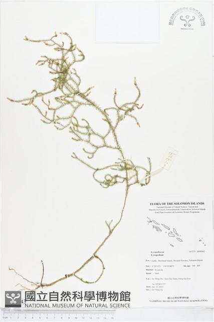 登錄號:BP00843藏品圖，第1張