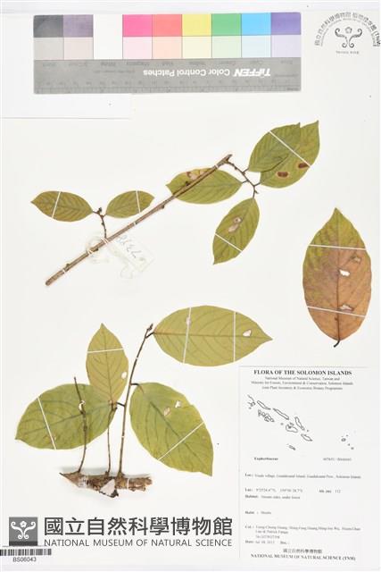 登錄號:BS06043藏品圖，第1張