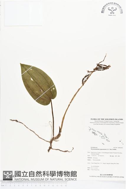 登錄號:BS02043藏品圖，第1張