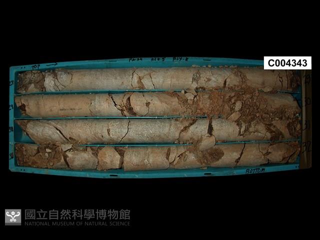 登錄號:C004343藏品圖，第3張