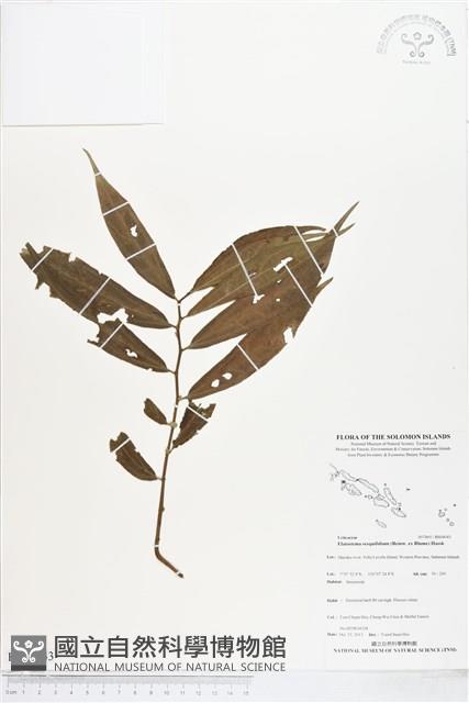 登錄號:BS04043藏品圖，第1張