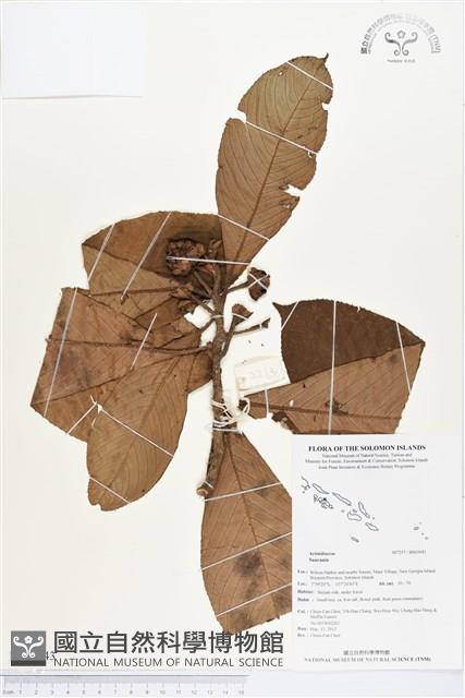 登錄號:BS03043藏品圖，第1張