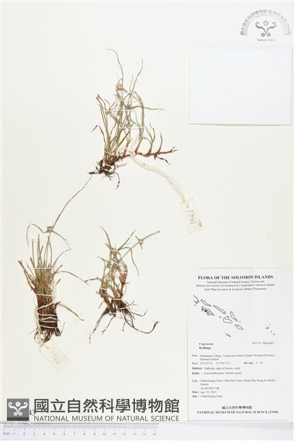 登錄號:BS02643藏品圖，第1張