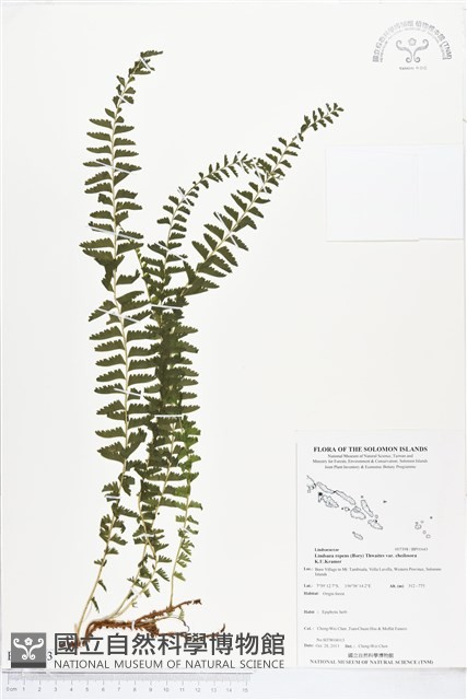 登錄號:BP01643藏品圖，第1張