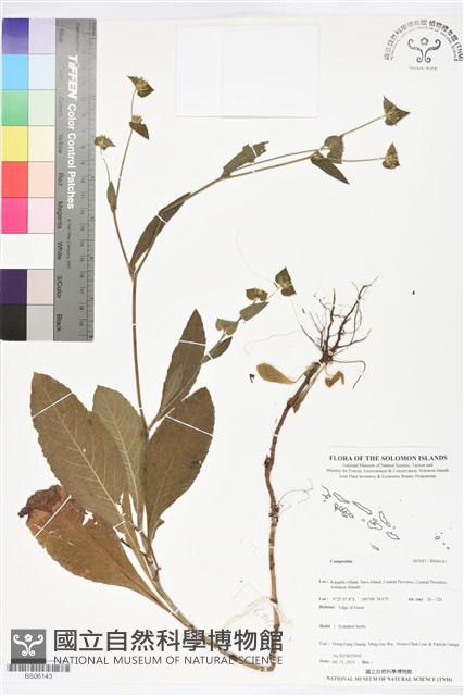 登錄號:BS06143藏品圖，第1張