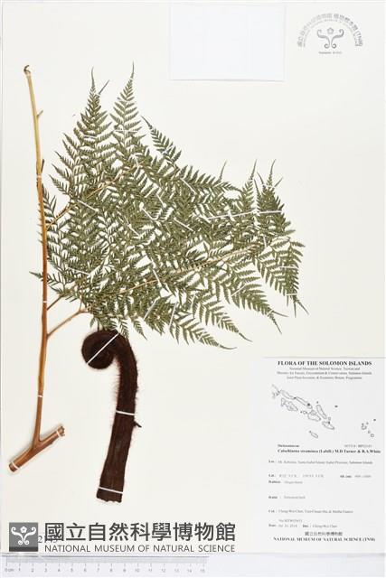 登錄號:BP02143藏品圖，第1張