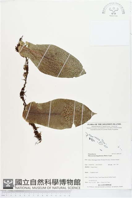 登錄號:BP01143藏品圖，第1張