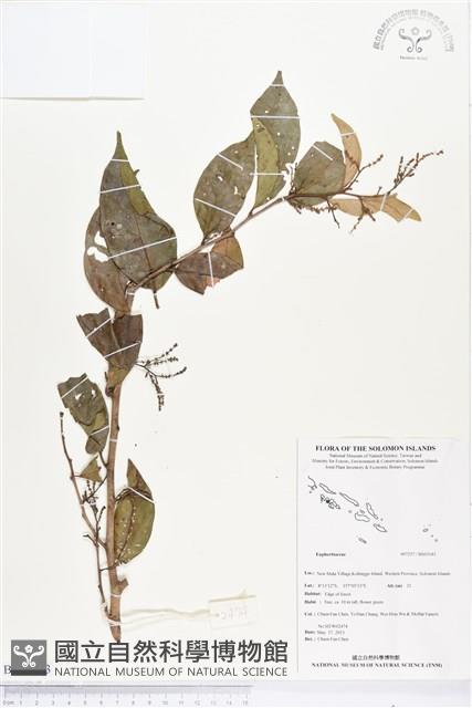 登錄號:BS03143藏品圖，第1張