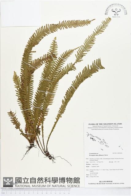 登錄號:BP00443藏品圖，第1張