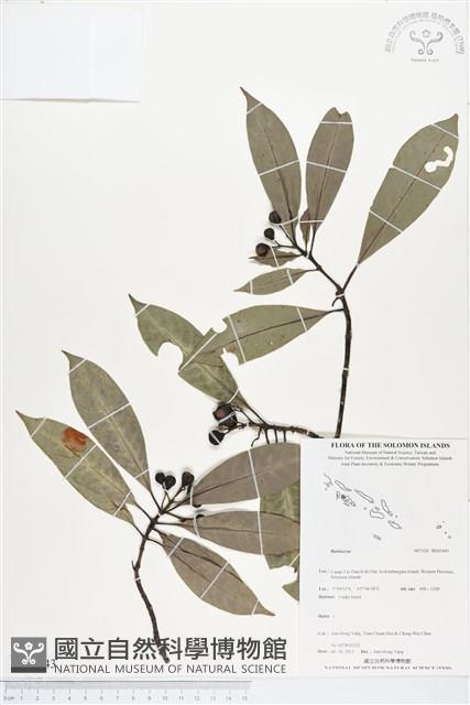 登錄號:BS03443藏品圖，第1張