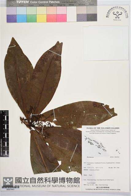 登錄號:BS07443藏品圖，第1張