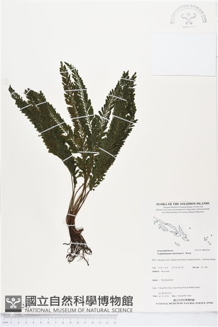 登錄號:BP02243藏品圖，第1張