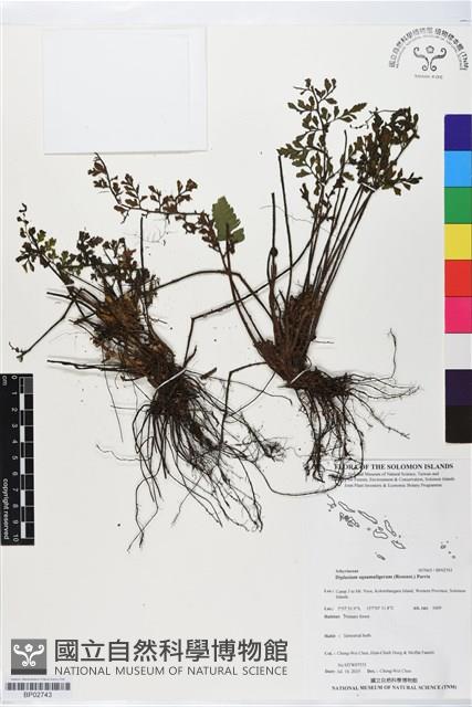 登錄號:BP02743藏品圖，第1張