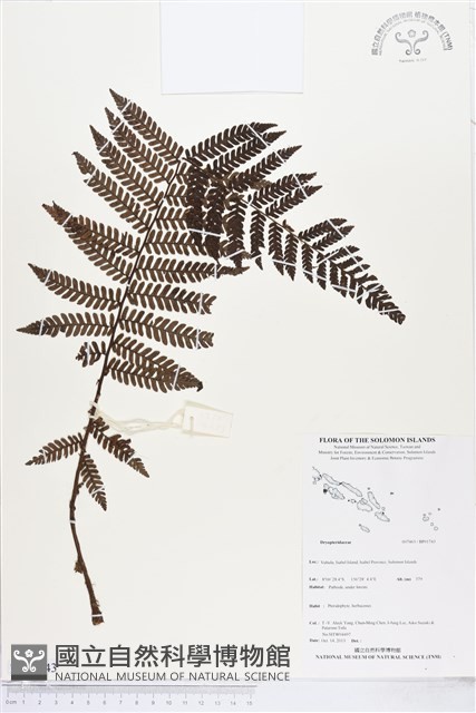 登錄號:BP01743藏品圖，第1張