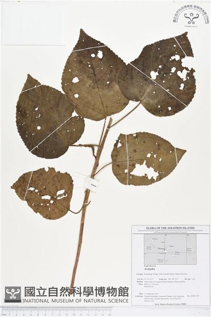 登錄號:BS01743藏品圖，第1張