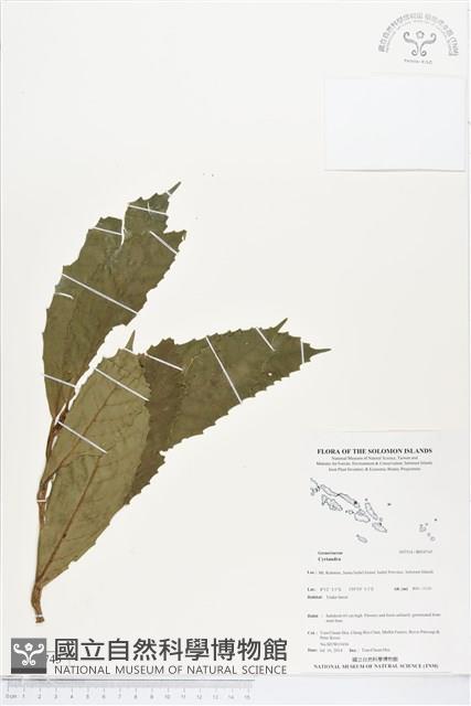 登錄號:BS04743藏品圖，第1張