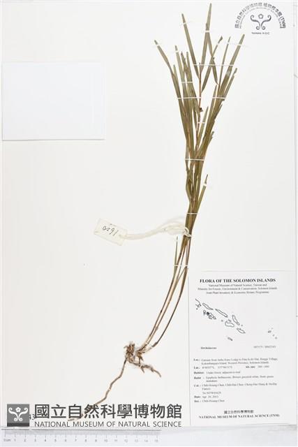 登錄號:BS02543藏品圖，第1張
