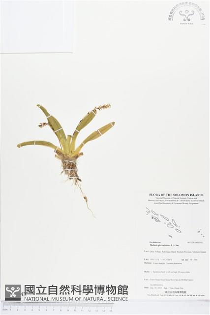 登錄號:BS03543藏品圖，第1張