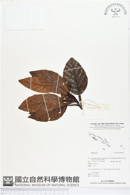 登錄號:BS01943藏品圖，第1張