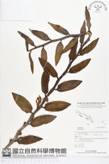 登錄號:BS01343藏品圖，第1張